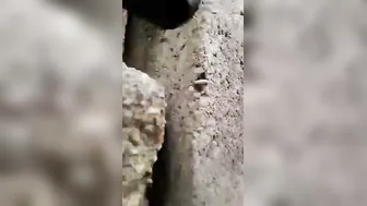 Young Village Wife Getting Her Tight Pussy Destroyed By Husband