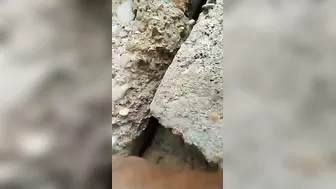 Young Village Wife Getting Her Tight Pussy Destroyed By Husband