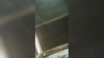 Cute Desi Babe Revealing Her Tight Boobs And Wet Pussy Now