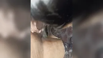 Desi Wife Sucking Her Man In Homemade Pov Looking At The Camera