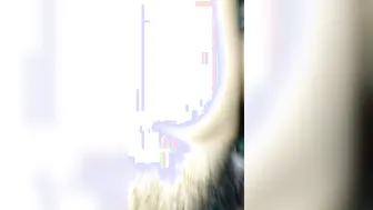 Hairy Pussy Desi Babe Getting Pounded In Homemade Porn Video