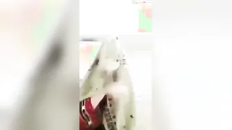 Hairy GF Rubbing Her Clit Fast Moaning Loud On Her Webcam