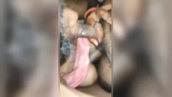 Newly Married Wife Giving Her Man An Amazing Blowjob At Home
