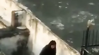 Horny Couple Fucking Wildly On Terrace Captured By Neighbor Spy