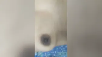 Neighbor Bhabhi Letting Me Film Her Bare Pussy In Her Bedroom