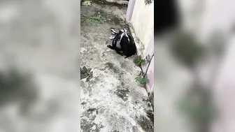 South Indian Lovers Fucking Outdoors Caught On Hidden Camera