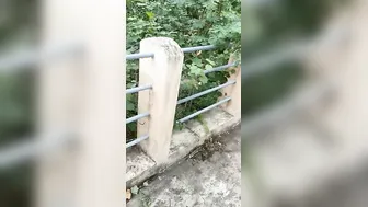 South Indian Lovers Fucking Outdoors Caught On Hidden Camera