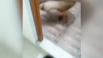 Mature Tamil GF Stripping Naked On Video Call For Lover