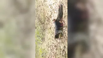 Local Guys Taking Turns Fucking Village Girl In Open Fields