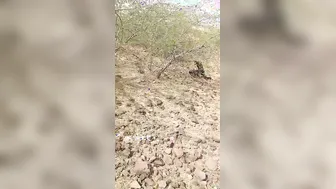 Local Guys Taking Turns Fucking Village Girl In Open Fields