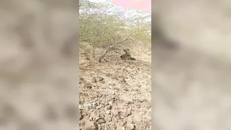 Local Guys Taking Turns Fucking Village Girl In Open Fields