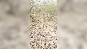 Local Guys Taking Turns Fucking Village Girl In Open Fields