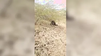 Local Guys Taking Turns Fucking Village Girl In Open Fields