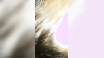 Hairy Village Girl Taking It Rough From Older Neighbor Daddy