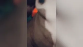 Hairy GF Moaning Softly While Getting Fucked At Home