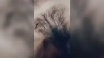 Hairy GF Moaning Softly While Getting Fucked At Home