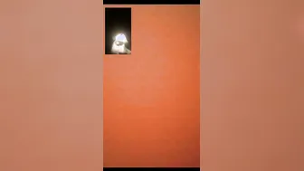 My GF Flashing Her Tits And Pussy During Naughty Video Call