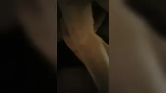 Married Pakistani Wife With Big Tits Getting Fucked On Hidden Cam