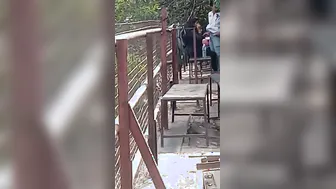 College GF Fucking Boyfriend Outdoors Someone Filmed Us