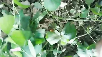 Mature South Indian Babe Stripping And Flaunting Her Big Tits