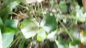 Mature South Indian Babe Stripping And Flaunting Her Big Tits