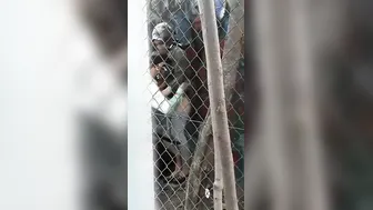 Construction Worker Drilling The Maid On Site During Lunch