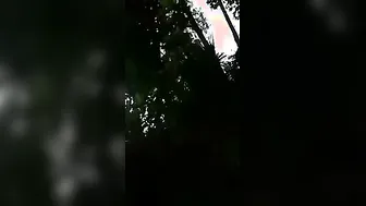 Village Couple Fucking Outside Captured On Camera In Daylight