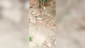 Couple Fucking Outdoors Caught On Camera By Someone Watching