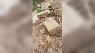 Couple Fucking Outdoors Caught On Camera By Someone Watching