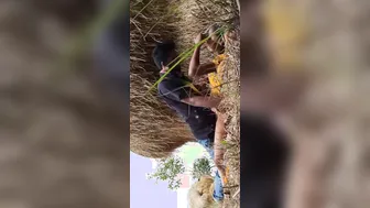 GF Riding Boyfriend Outdoors For Their Very First Time