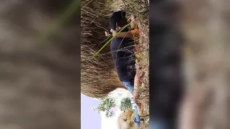 GF Riding Boyfriend Outdoors For Their Very First Time