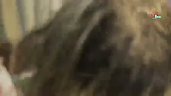 Student Fucking His Teacher After Tuition In Empty Classroom