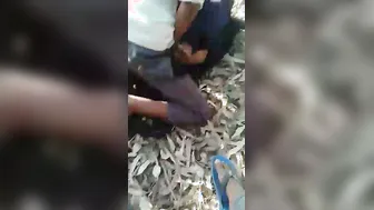 Village Slut Getting Pounded Hard Outdoors In The Countryside