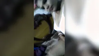 Married Village Bhabhi Spreading Pussy Lips Wide On Camera