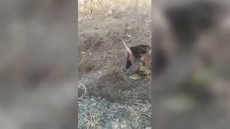 Village Slut Getting Banged Outdoors By Horny Young Local Stud