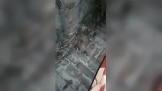 Village GF Sneaking Quick Fuck With Her Secret Boyfriend