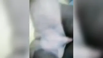 Bengali Wife Riding Her Husband Hard In Bedroom After Dinner