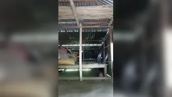 Curvy Village Bhabhi Stripping Naked Exposing Everything