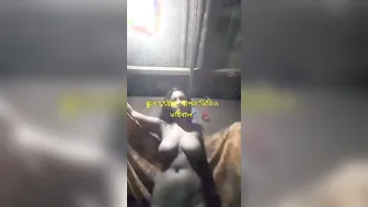 Chubby Village Girl Fingering Her Pussy On Camera Alone