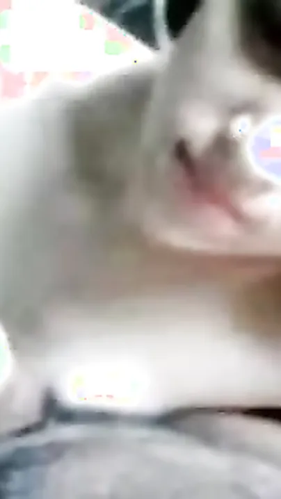 Gorgeous college angel gives an awesome blowjob to her boyfriend