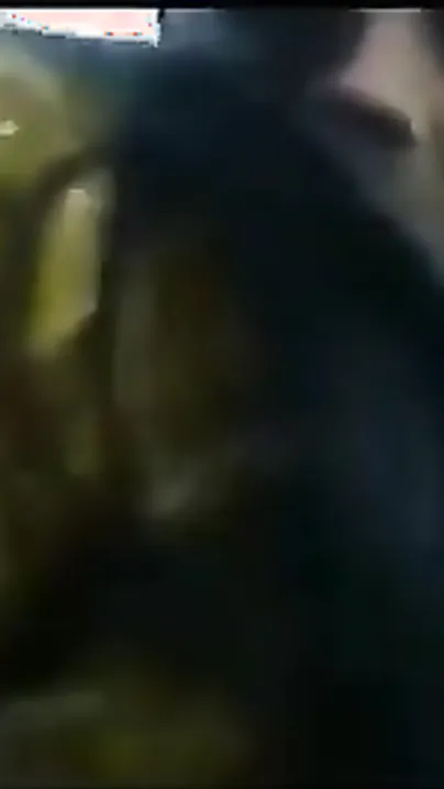 Desi college hotty gets her meatballs sucked by her boyfriend in the park