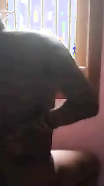 Older bhabhi seduces her spouse with her hawt moves