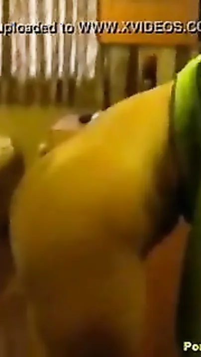 Favourable guy enjoys trio with his hawt college neighbours