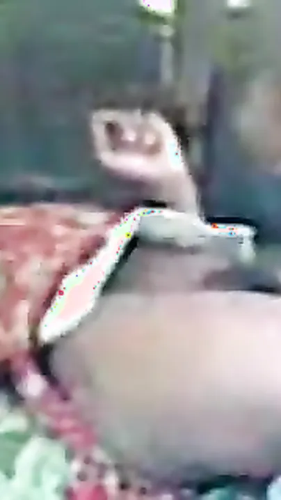 Youthful abode wife gets her fur pie hairless and screwed by her husband