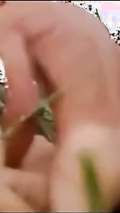 Desi village legal age teenager enjoys hardcore outdoor sex with lover