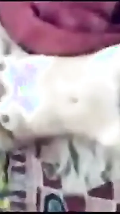 Tamil sex video of hawt desi wife with hubby