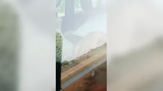 Married Couple Caught Fucking Hard Inside Parked Car