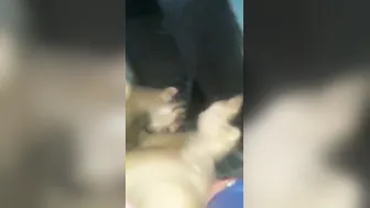 Tamil Couple Inviting Friend For Wild Threesome Session At Home