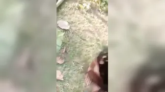 Village Lovers Getting Naked And Fucking Outdoors In The Woods