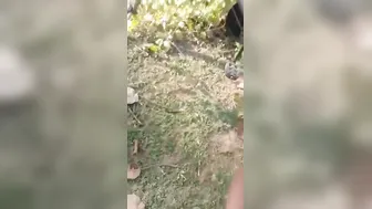Village Lovers Getting Naked And Fucking Outdoors In The Woods